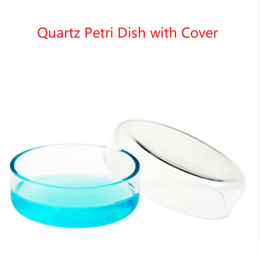 Anti-corrosion High Temperature Resistance High Purity Silica Fused Quartz Petri Dish/Quartz Tank Can Be Customized - MICQstore